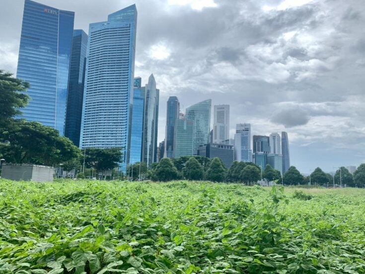 Singapore kicks off initiatives to accelerate green finance